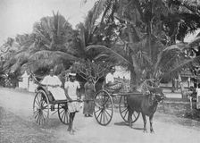 Rickshaw and Racing Hackery c1890, (1910). Artist: Alfred William Amandus Plate