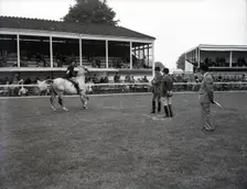 Richmond Horse Show, Surrey, c1955. Creator: Arthur Charles Kirby Ware