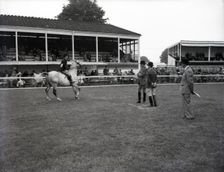 Richmond Horse Show, Surrey, c1955. Creator: Arthur Charles Kirby Ware
