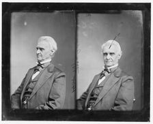 Richard Wigginton Thompson of Indiana, 1865-1880. Creator: Unknown