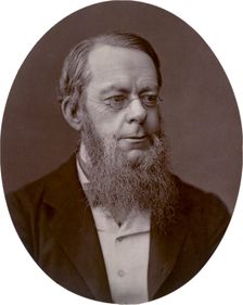 Richard Assheton Cross, MP, Home Secretary, 1880. Creator: Lock & Whitfield
