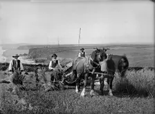 Richard Harvey and workers harvesting at Trenance, Mullion, Cornwall, 1900-1901. Artist: Alfred Newton & Sons
