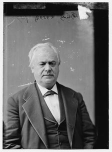 Richard James Oglesby of Illinois, between 1870 and 1880. Creator: Unknown