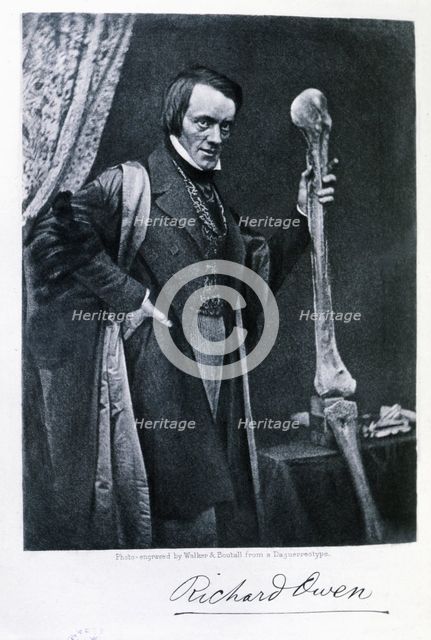 Richard Owen (1804-1892), English zoologist and anatomical, curator of the Royal College of Surge…