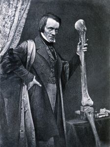 Richard Owen (1804-1892), English zoologist and anatomical, curator of the Royal College of Surge…