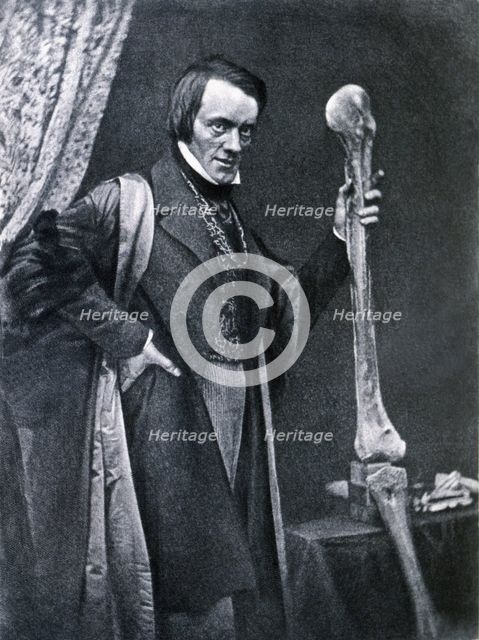Richard Owen (1804-1892), English zoologist and anatomical, curator of the Royal College of Surge…