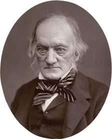 Richard Owen, 1878. Creator: Lock & Whitfield