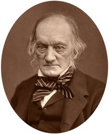 Richard Owen, 1878.Artist: Lock & Whitfield