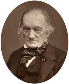 Richard Owen, 1878.Artist: Lock & Whitfield