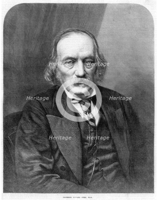 Richard Owen, English anatomist and paleontologist, 1872. Creator: Unknown.