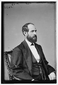 Richard P. Bland, between 1870 and 1880. Creator: Unknown