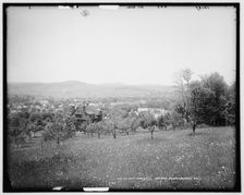 Richfield Springs, N.Y., c1900. Creator: Unknown