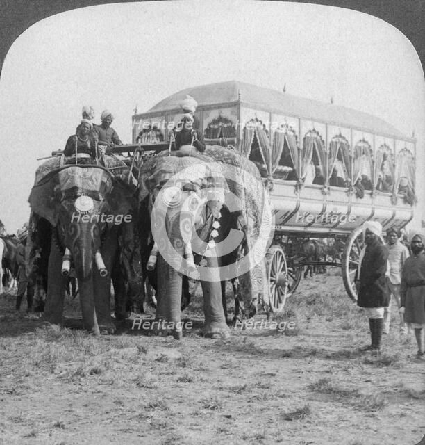 Richly adorned elephants and carriage of the Maharaja of Rewa at the Delhi Durbar, India, 1903. Artist: Underwood & Underwood