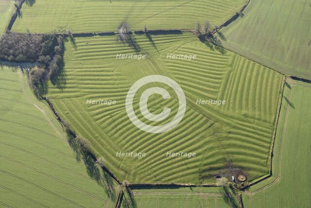 Ridge and furrow earthworks associated with the medieval village of Winwick, West Northants, 2022 Creator: Damian Grady.