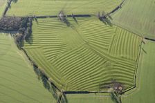 Ridge and furrow earthworks associated with the medieval village of Winwick, West Northants, 2022 Creator: Damian Grady