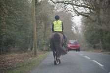 Rider on horseback on country road in New Forest 2014
