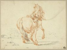 Riderless Horse, n.d. Creator: Unknown