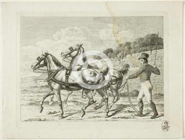 Riding School and Horses, 1806. Creator: Johann Adolph Darnstedt.