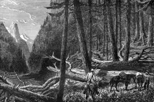 Riding through the forest, British Columbia, Canada, 19th century.Artist: Leitch