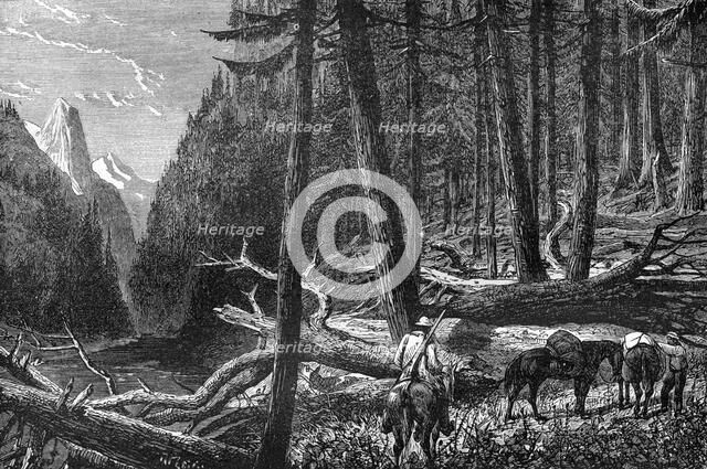 Riding through the forest, British Columbia, Canada, 19th century.Artist: Leitch