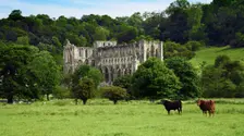 Rievaulx Abbey, North Yorkshire, 2006. Artist: Mike Kipling