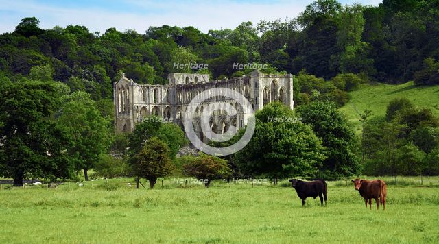 Rievaulx Abbey, North Yorkshire, 2006. Artist: Mike Kipling.