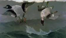 Right and Left 1909. Artist: Winslow Homer