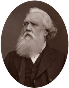 Right Hon Austen Henry Layard DCL, British Ambassador to Constantinople, 1877.Artist: Lock & Whitfield