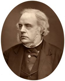 Right Hon John Bright, MP for Birmingham, 1876.Artist: Lock & Whitfield