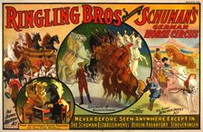 Ringling Bros presenting Schuman's German horse circus poster, c1909. Creator: Unknown