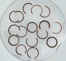 Rings and Ring Fragments, Coptic, 4th century. Creator: Unknown