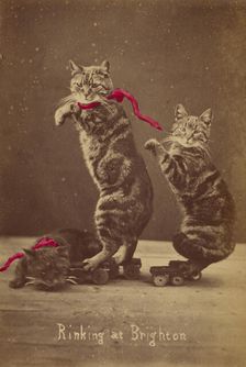 Rinking at Brighton, about 1865. Creator: Henry Pointer