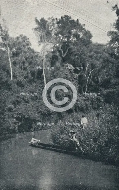 'Rio de S. Anastacio', 1895. Artist: Francisco Henszler.