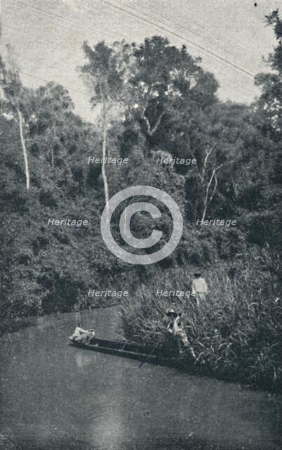 'Rio de S. Anastacio', 1895. Artist: Francisco Henszler.