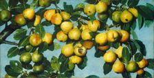 Ripening Pears, c. 1884/1885. Creator: Joseph Decker