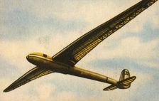 RRG Fafnir glider, 1930, (1932). Creator: Unknown