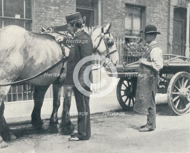 RSPCA inspector examining a horse, c1903 (1903). Artist: Unknown.