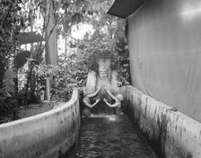 Ruth St. Denis dancers, between 1910 and 1935. Creator: Arnold Genthe