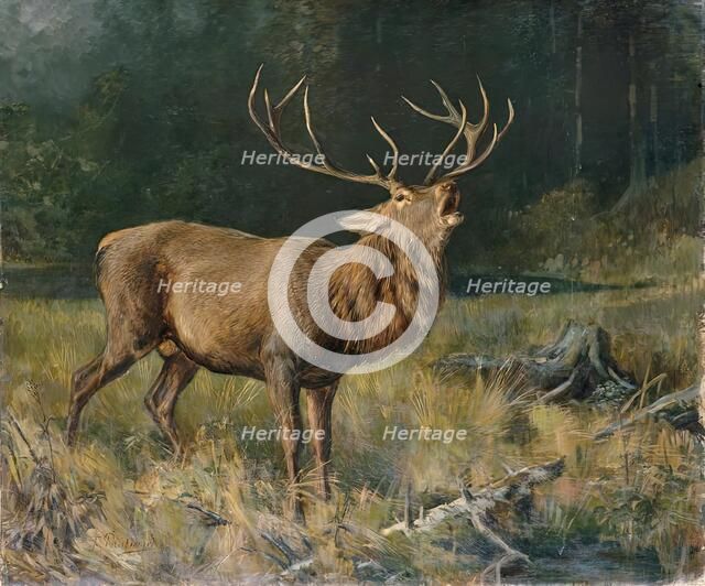 Rutting deer, 2nd half of the 19th century. Creator: Franz Xaver von Pausinger.