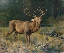 Rutting deer, 2nd half of the 19th century. Creator: Franz Xaver von Pausinger