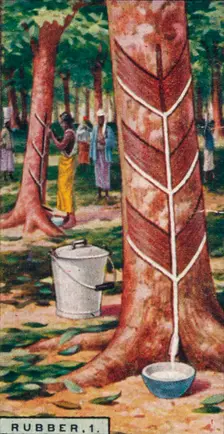 Rubber, 1. Tapping the Trees, Ceylon 1928