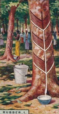 Rubber, 1. Tapping the Trees, Ceylon 1928