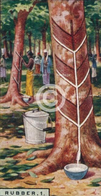 'Rubber, 1. Tapping the Trees, Ceylon', 1928. Artist: Unknown.
