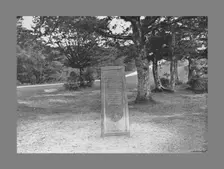 Rufus Stone, New Forest Hants, c1900. Artist: Poulton & Co