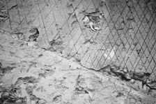 Ruins of supposed Spanish mission, Georgia, 1935. Creator: Walker Evans