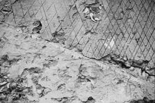 Ruins of supposed Spanish mission, Georgia, 1935. Creator: Walker Evans