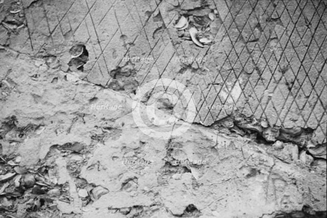 Ruins of supposed Spanish mission, Georgia, 1935. Creator: Walker Evans.