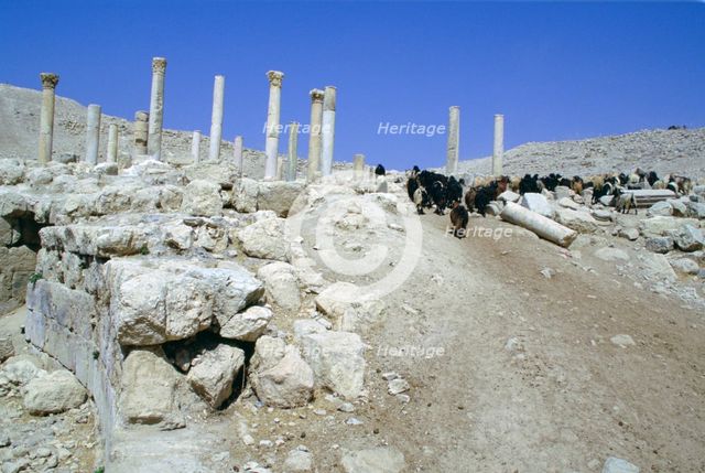 Ruins of the ancient city of Pella, Jordan. Creator: Vivienne Sharp.