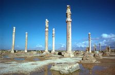 Ruins of the Apadana, Persepolis, Iran. Creator: Vivienne Sharp
