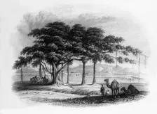 Runjeet Singh's Encampment at Roopur, on the river Sutlej 1838. Creator: George Francis White